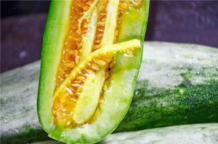 吃大瓜的网红,揭秘娱乐圈幕后真相 第2张 吃大瓜的网红,揭秘娱乐圈幕后真相 第2张