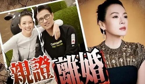 刘大锤最新爆料盘点视频,盘点最新爆料视频精彩瞬间